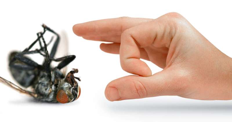 Beekeeping and Hive Management Services